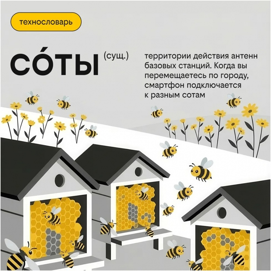 Соты, сайты и пакеты: как знакомые слова помогают улучшать качество связи - фото 4
