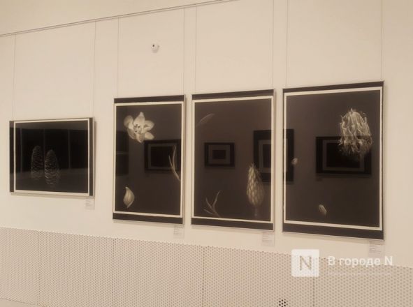 Из темноты к свету: уникальная выставка графики меццо-тинто проходит в пакгаузах на Стрелке - фото 8