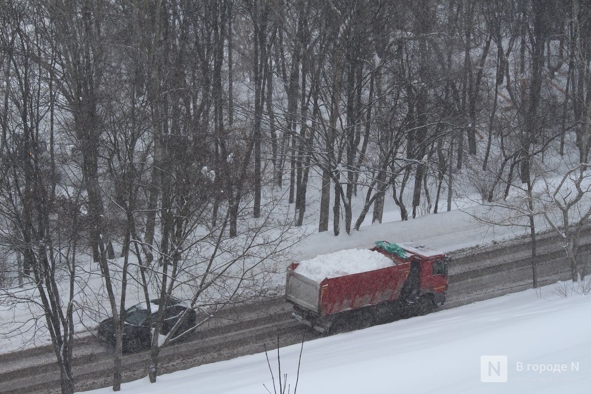 Возможны ЧС: сильная метель накроет Нижегородскую область 2 марта - фото 1