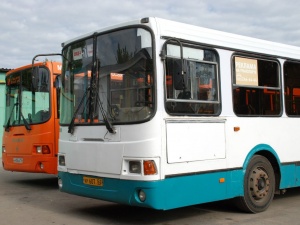 Два автобуса с нелегальными мигрантами задержаны в Кстовском районе