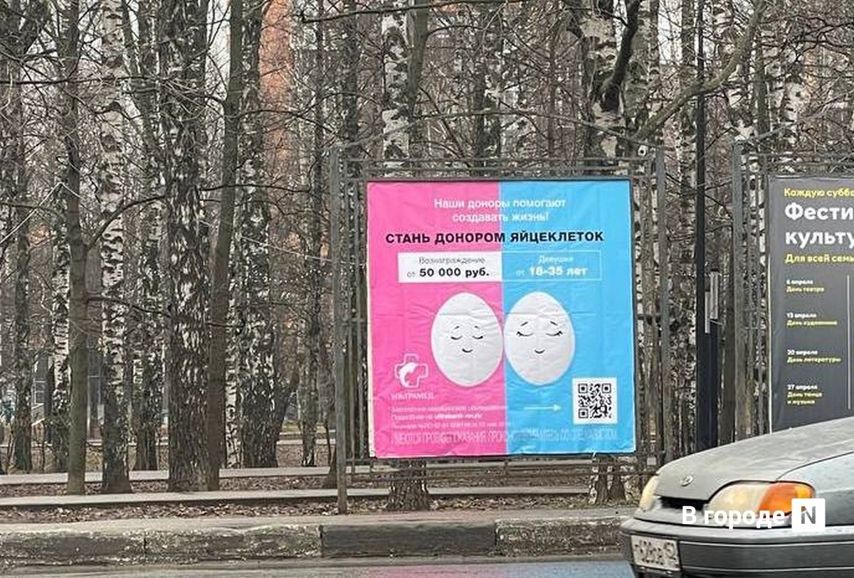 Реклама о донорстве яйцеклеток в Нижнем Новгороде привлекла внимание УФАС