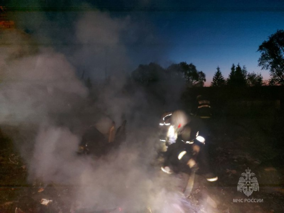 Опубликованы фото с места смертельного пожара в Лукояновском округе - фото 3