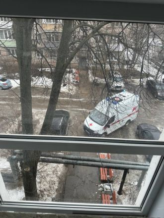 Мелик-Гусейнов отчитал нетрезвых нижегородцев за ложный вызов скорой помощи - фото 4