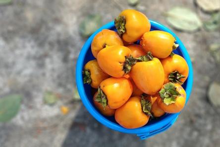 Кому можно, а кому категорически нельзя есть хурму