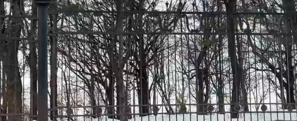 Соцсети: отреставрированная ограда нижегородского парка &laquo;Швейцария&raquo; покрылась ржавчиной - фото 1