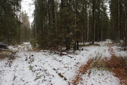 Пропавшего в Нижнем Новгороде молодого человека нашли спустя две недели