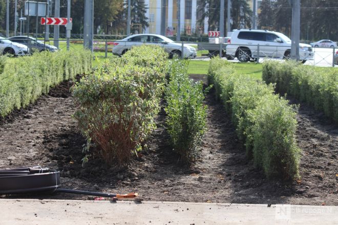 Благоустройство &ndash; 2025: как меняется площадь у Автозаводского универмага в Нижнем Новгороде - фото 26