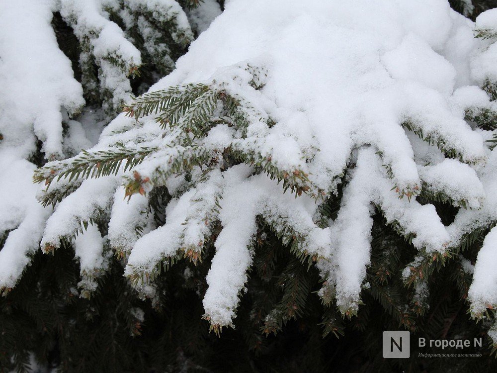 Оттепель и снегопады принесет нижегородцам наступившая неделя - фото 1
