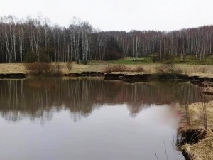 Новое озеро образовалось в Арзамасском районе