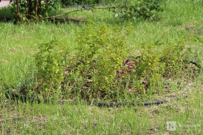 Благоустройство &ndash;  2025: смотрим, как меняются пространства в районах Нижнего Новгорода - фото 19