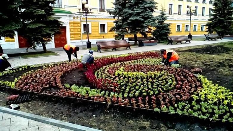Более 50 тысяч цветов посадили в Нижегородском районе - фото 2