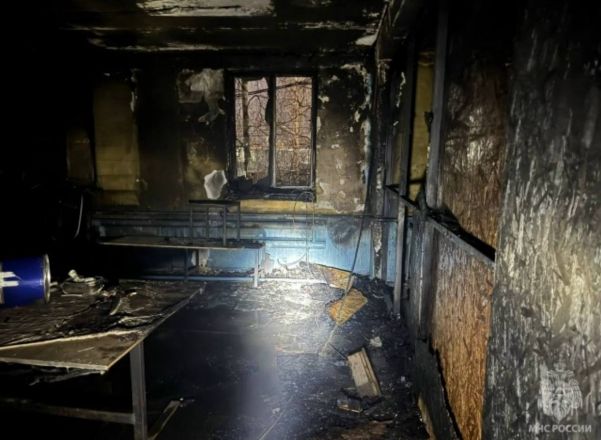 Мощный пожар произошел в промышленной зоне в Нижнем Новгороде - фото 5