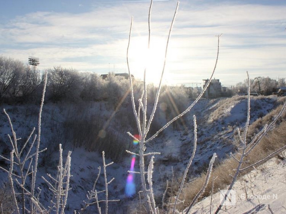 Опубликован прогноз погоды в Нижнем Новгороде на первую рабочую неделю 2026 года - фото 1