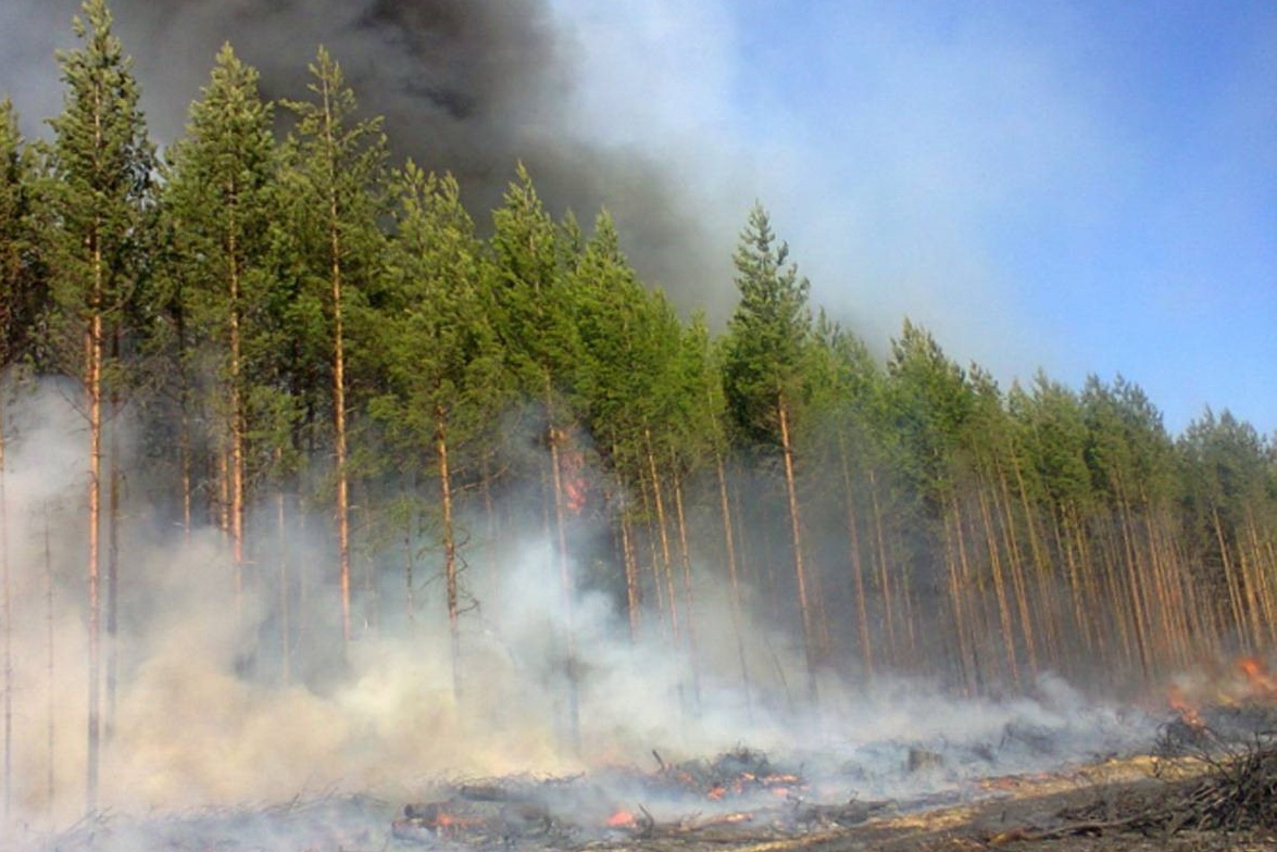 Владислав Атмахов: &laquo;Большую роль в борьбе с природными пожарами играет профилактика&raquo; - фото 1