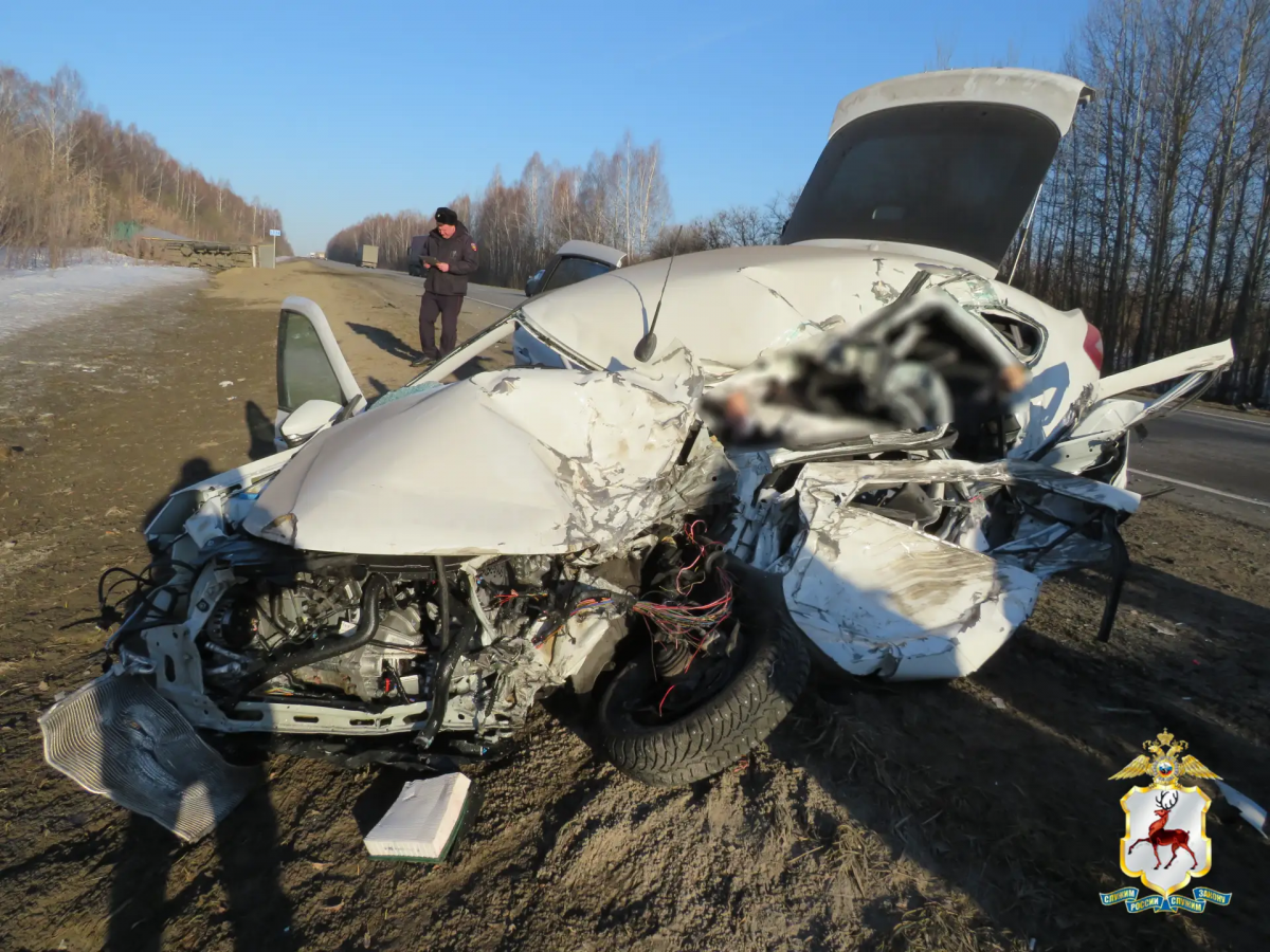 Опубликованы фото с места ДТП с погибшими в Нижегородской области  - фото 1