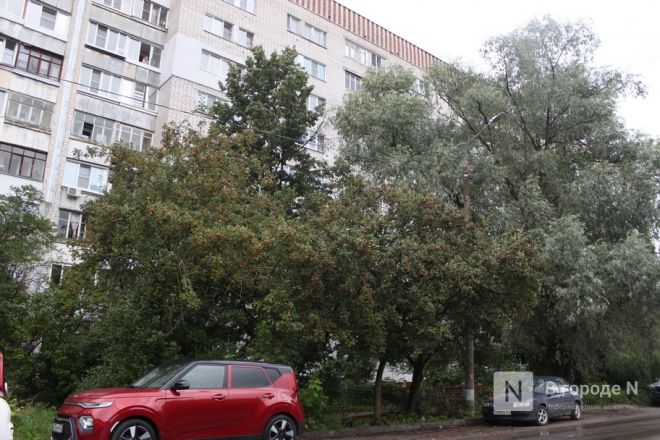 &laquo;Побывав здесь раз, хочется снова возвращаться&raquo;: чем удивляет Сортировка на окраине Нижнего Новгорода - фото 30