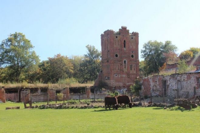 Опубликованы фото из усадьбы Приклонских-Рукавишниковых в Подвязье - фото 3