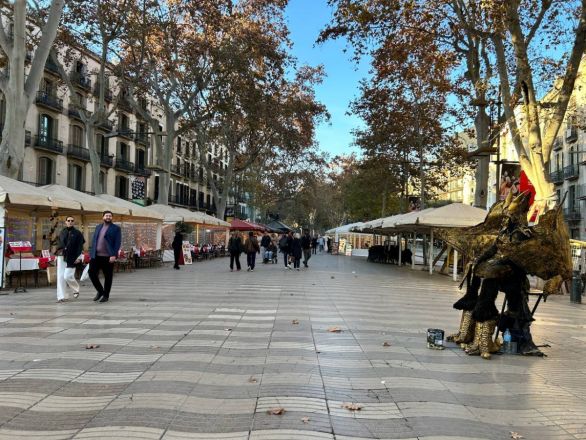 Морские гады, руины и потрясающий климат: вся правда о путешествии Барселона &mdash; Рим - фото 28